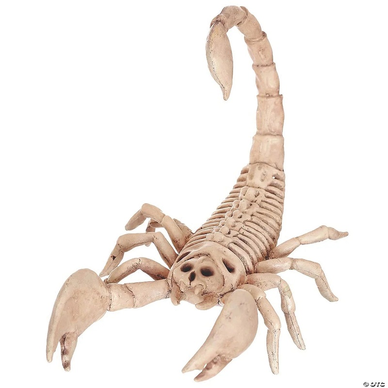 Mini Skeleton Creatures Assrt | 1ct