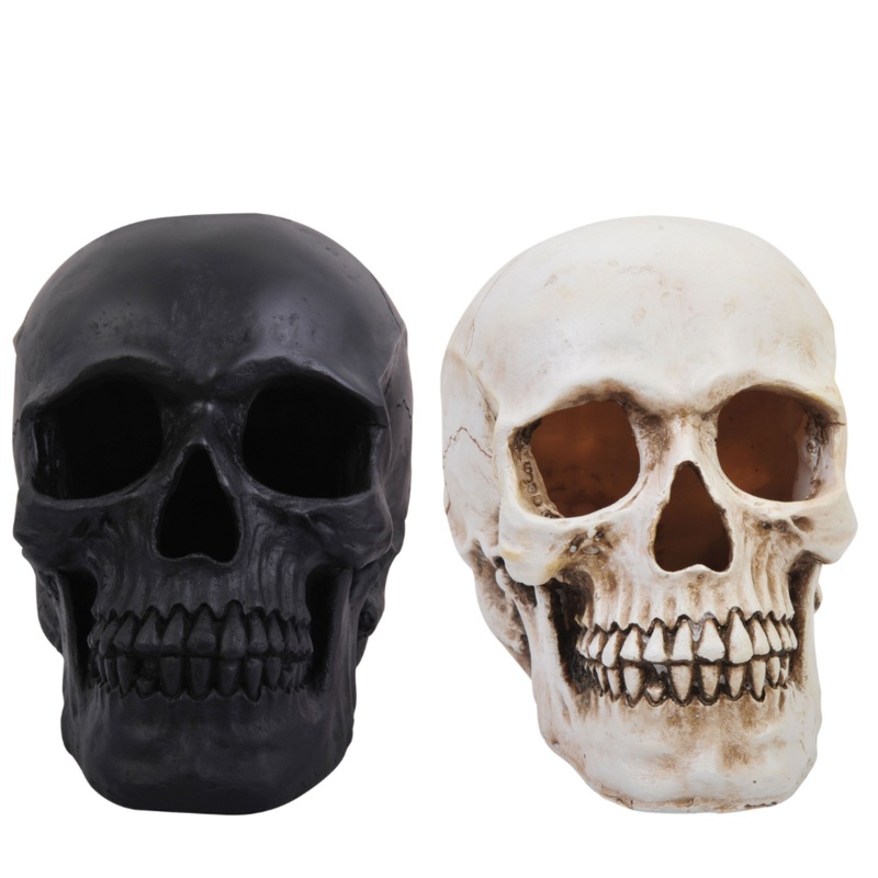 Realistc Skull Assortment|ANTIQUED NATURAL SKULL|BLACK MATTE SKULL
