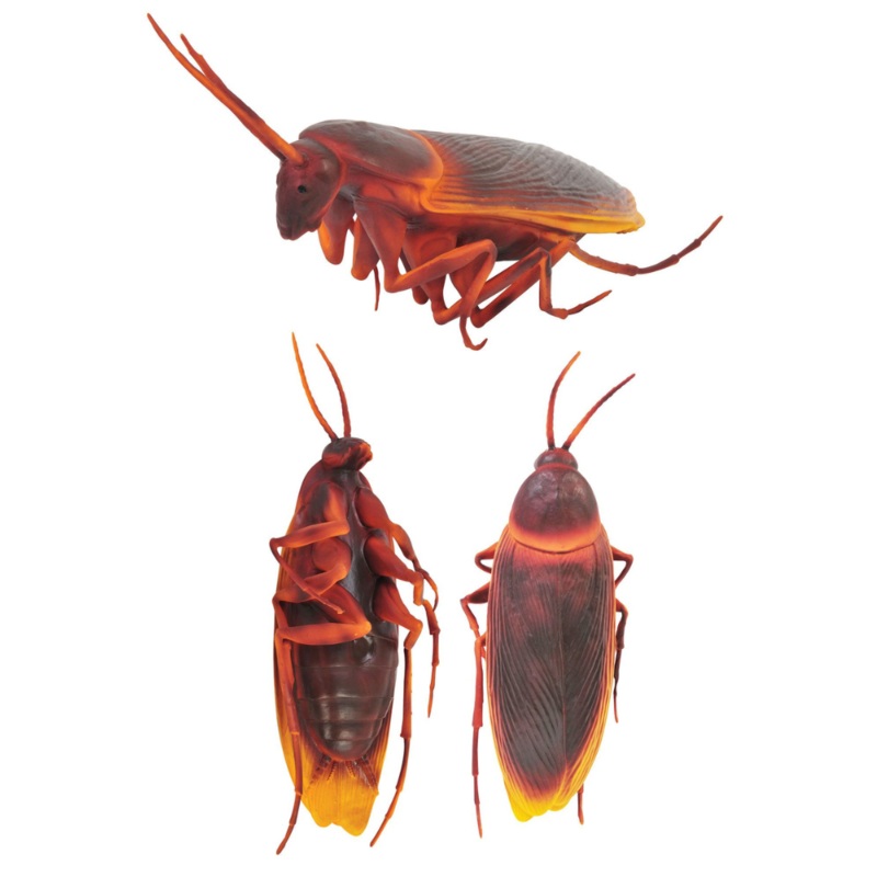 12 Apocalyptic Cockroach