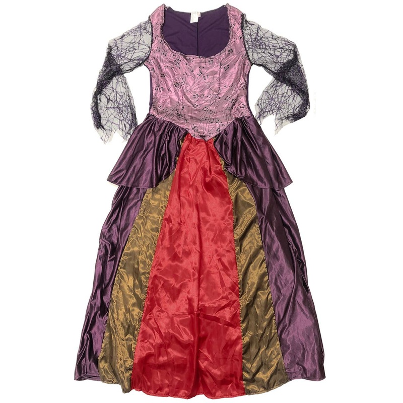 Hocus Pocus Witch Womens Costume - Size Small