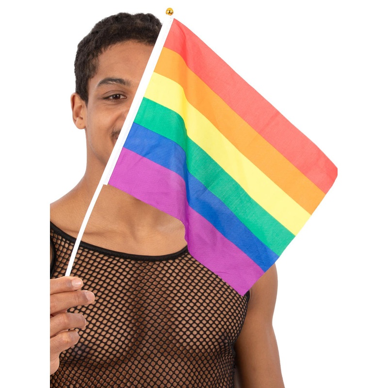 Pride Handheld 12 Pack of 30cm Rainbow Striped Fans