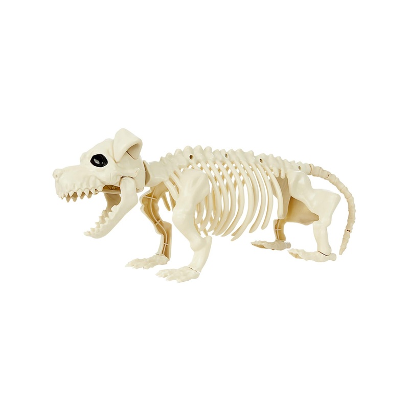 Dog Skeleton Prop