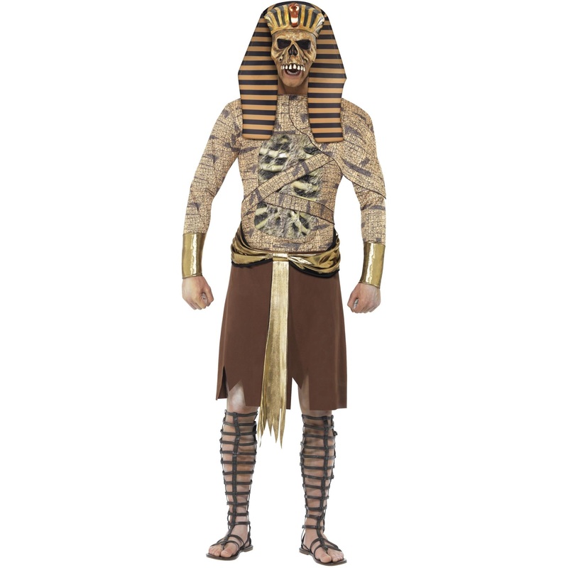 Zombie Pharaoh Adult Men's Costume