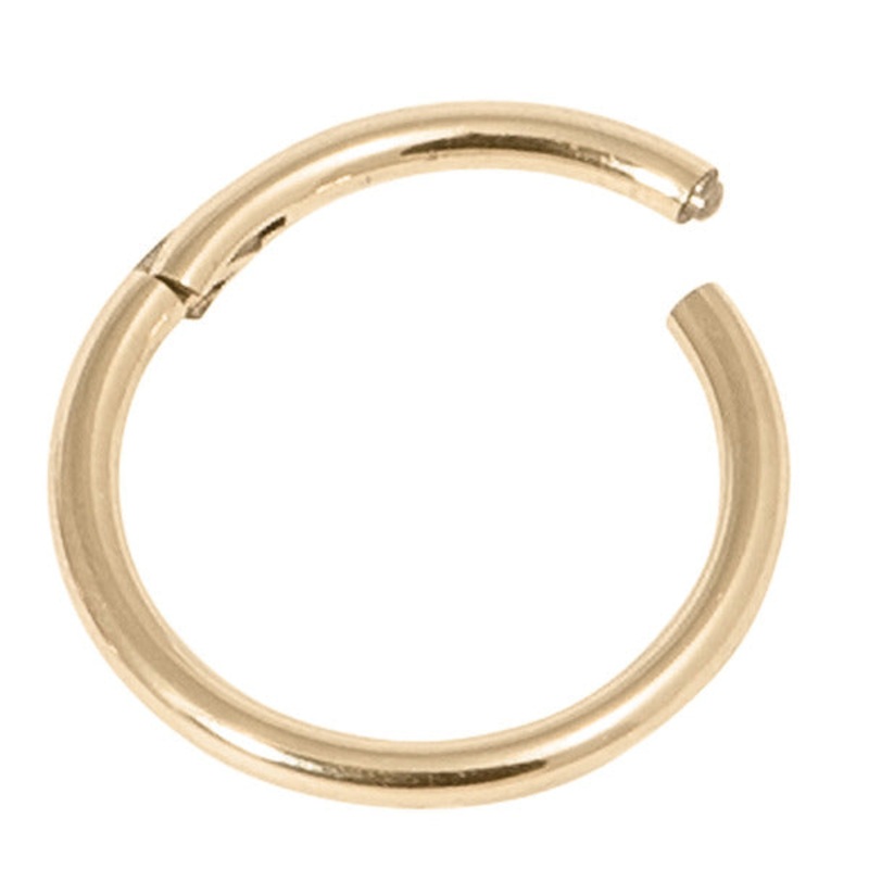 Zircon Steel Hinged Segment Ring (Gold colour) (Clicker)