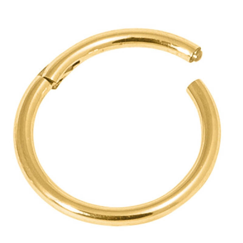 22ct Gold Steel Hinged Segment Ring (Clicker)