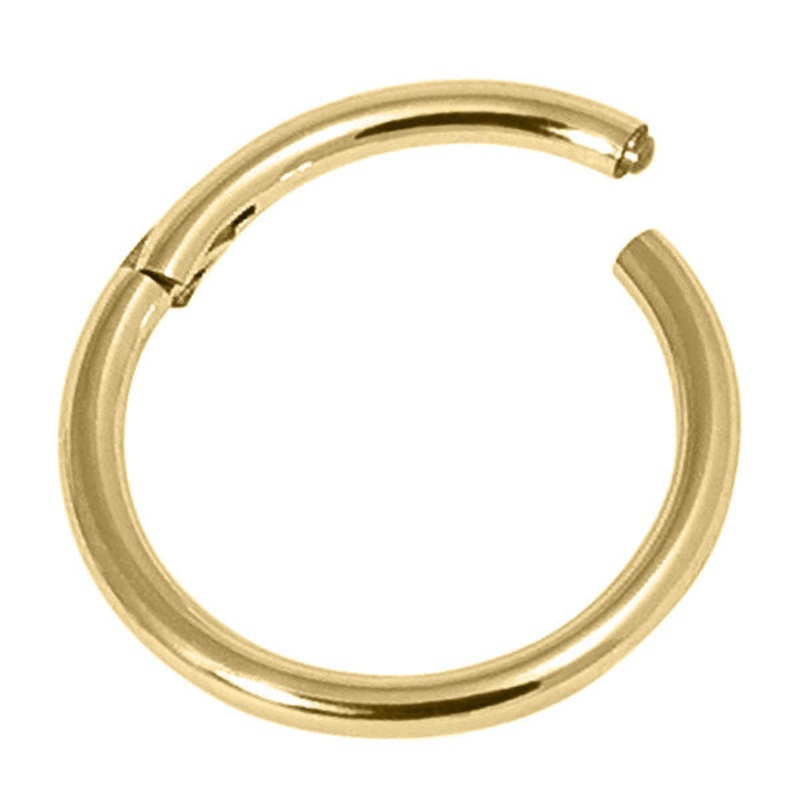 Gold Steel Hinged Segment Ring (Clicker)