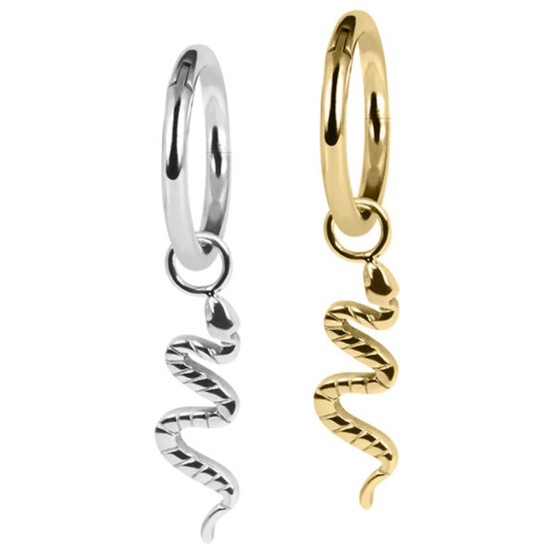 Titanium Hinged Segment Ring with Titanium Snake Charm
