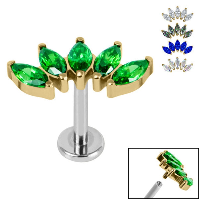 Titanium Internally Threaded Labrets 1.2mm - Gold Titanium Claw Set 5 CZ Jewel Marquise Fan