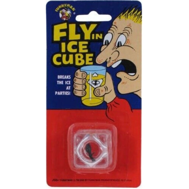 Fly in Ice cube