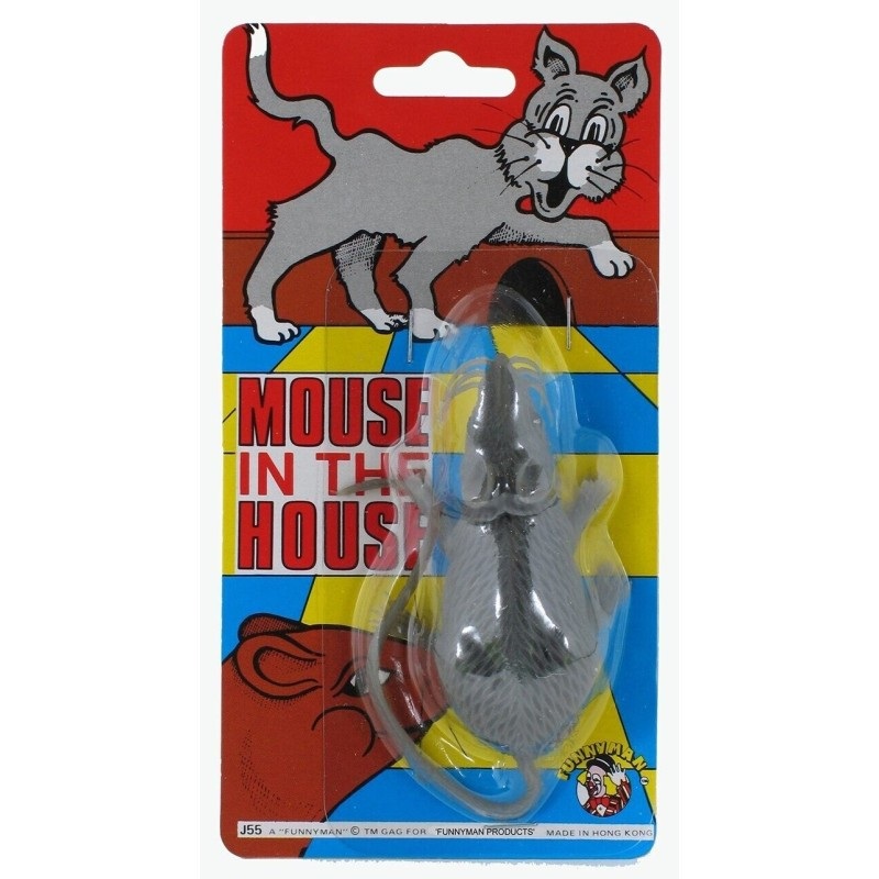 Mouse In The House