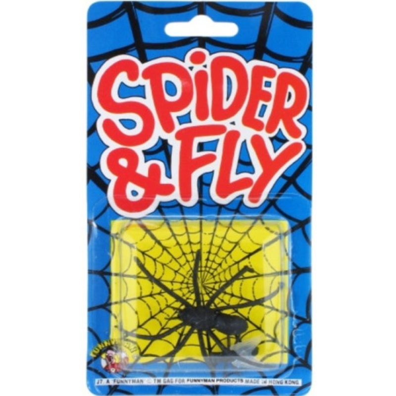 Spider & Fly