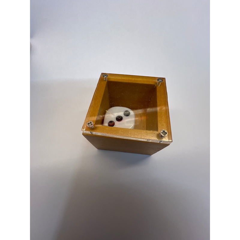 Badlands Bob Dice