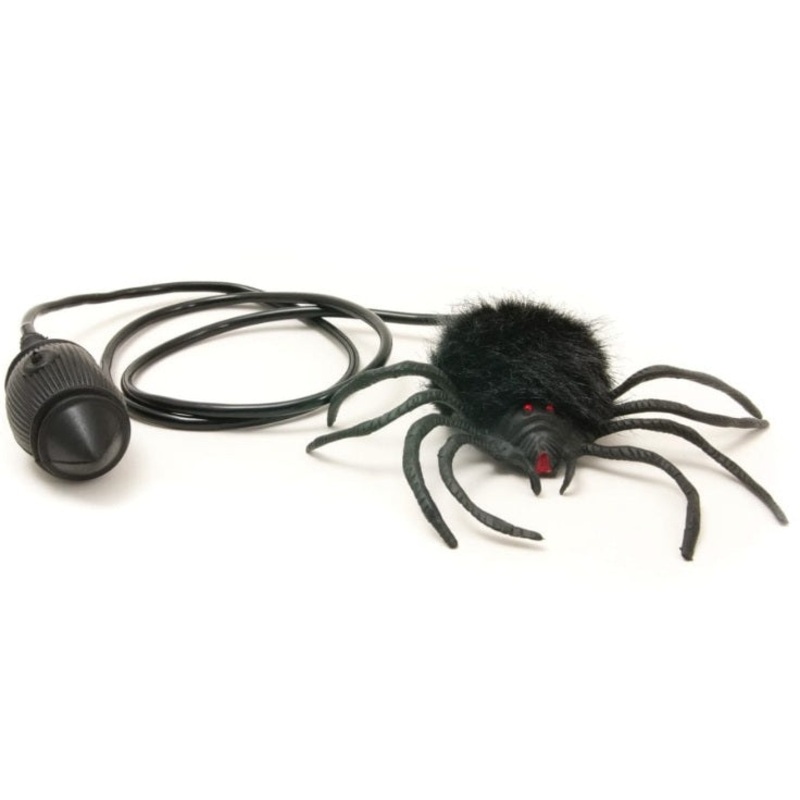 Hairy Scary Jumping Spider