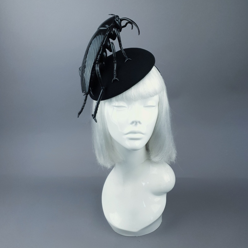 Cucaracha Black Giant Cockroach Insect Bug Fascinator Hat