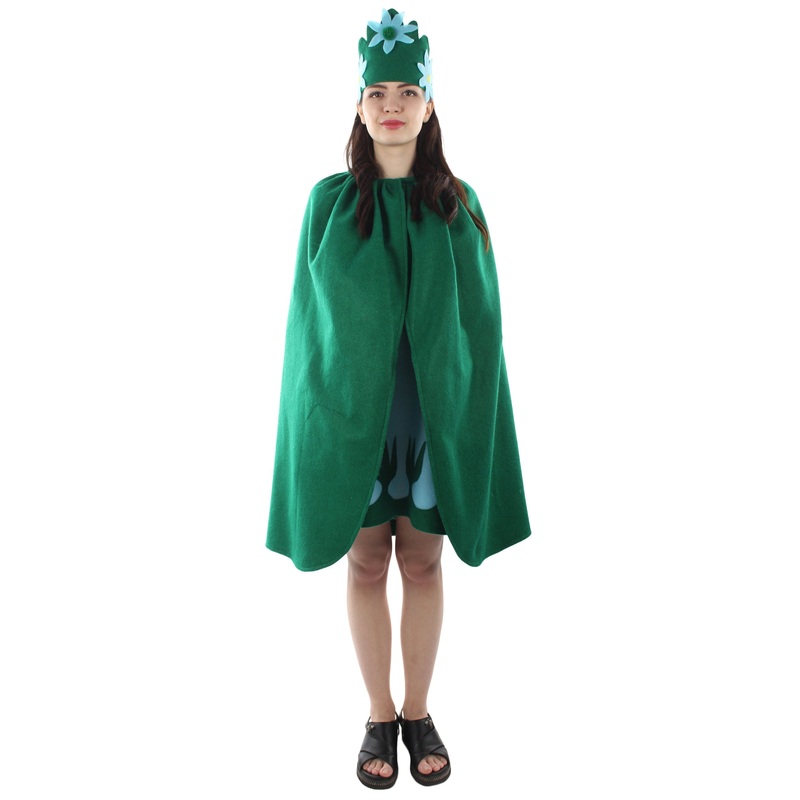 Women's Multi Color Princess Costume