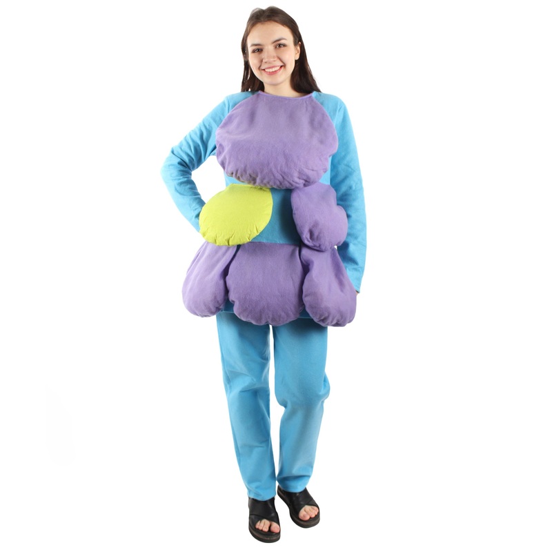 Women's Multi Color Satin and Twins Costume