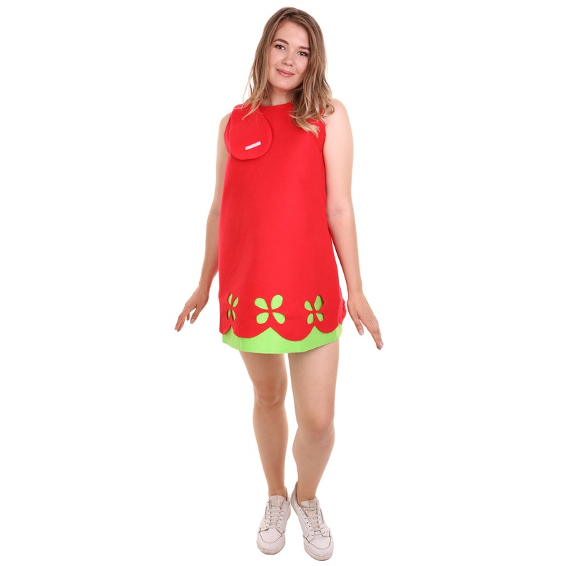 Women's Princess Dress Costume | Red Christmas