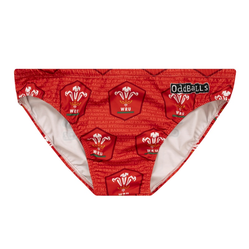 Welsh Rugby Union - Swimming Briefs