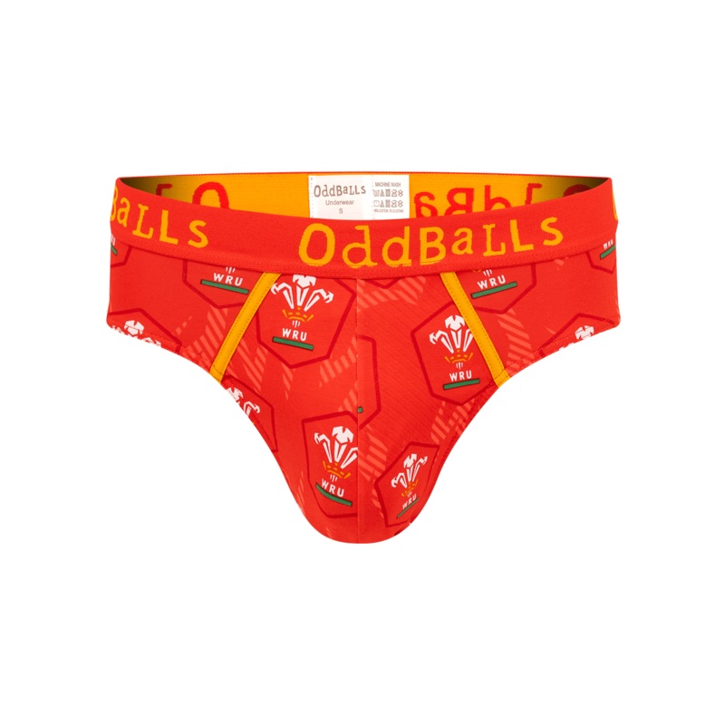 Welsh Rugby Union Flames - Mens Briefs