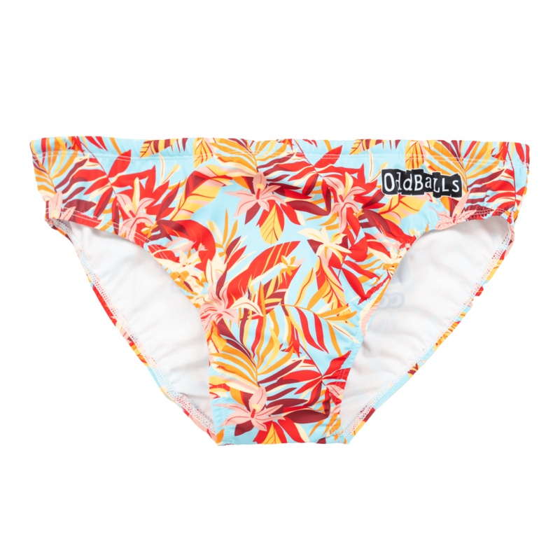 Calypso - Swimming Briefs|XXS|XS|Small|Medium|Large|XL|2XL|3XL