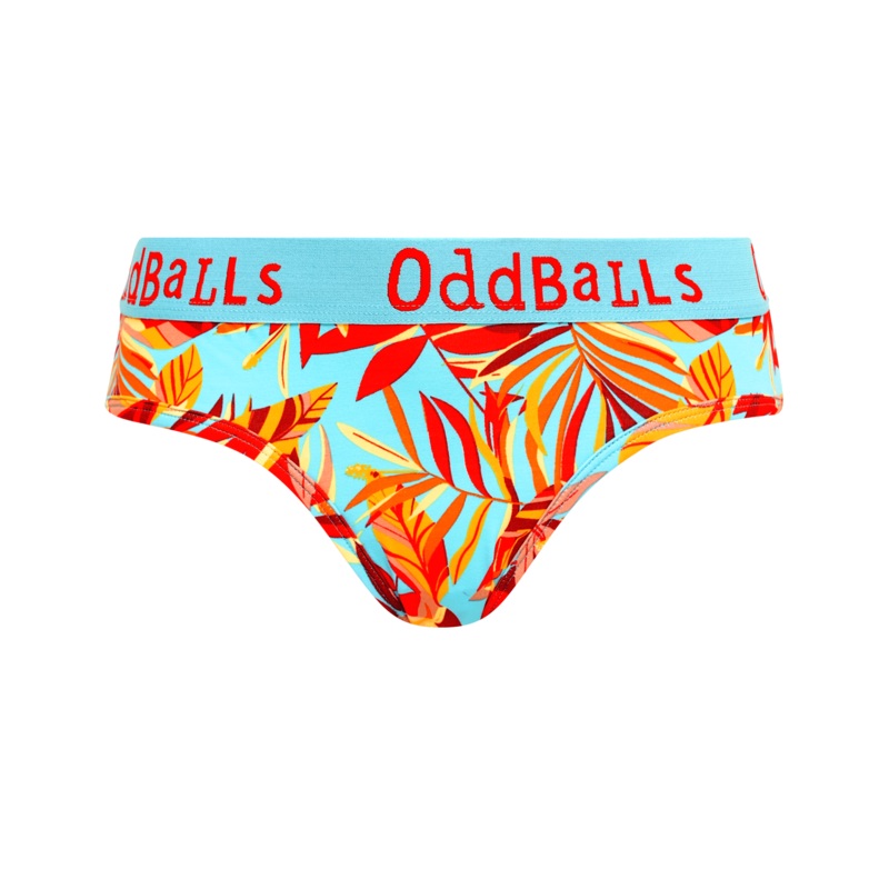 Calypso - Ladies Briefs|Size 6|Size 8|Size 10|Size 12|Size 14|Size 16|Size 18|Size 20