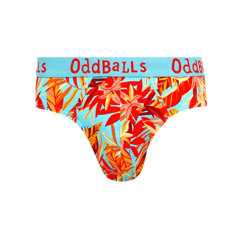 Calypso - Mens Briefs|XXS|XS|Small|Medium|Large|XL|2XL|3XL