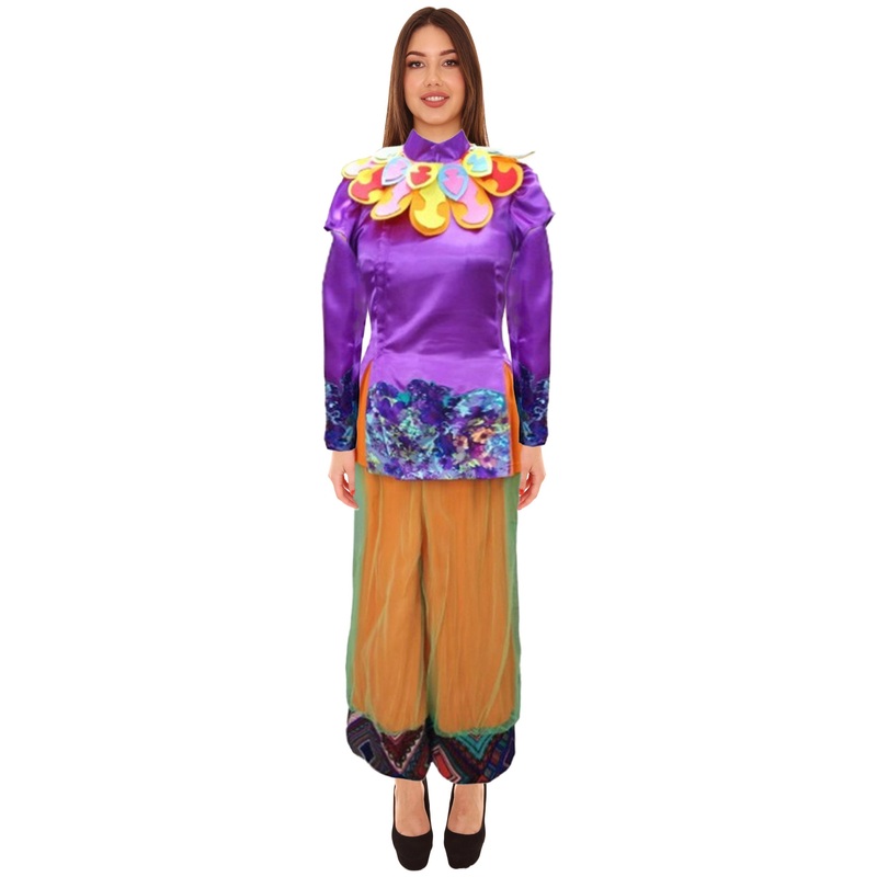 Women's Carton Costume | Multi Color Fancy Costume