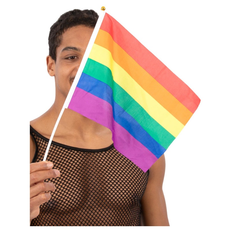 Hand Held Rainbow Flags 12 Pack