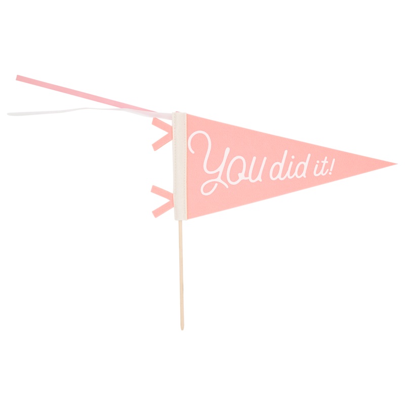 Pink You Did It Felt Pennant Banner