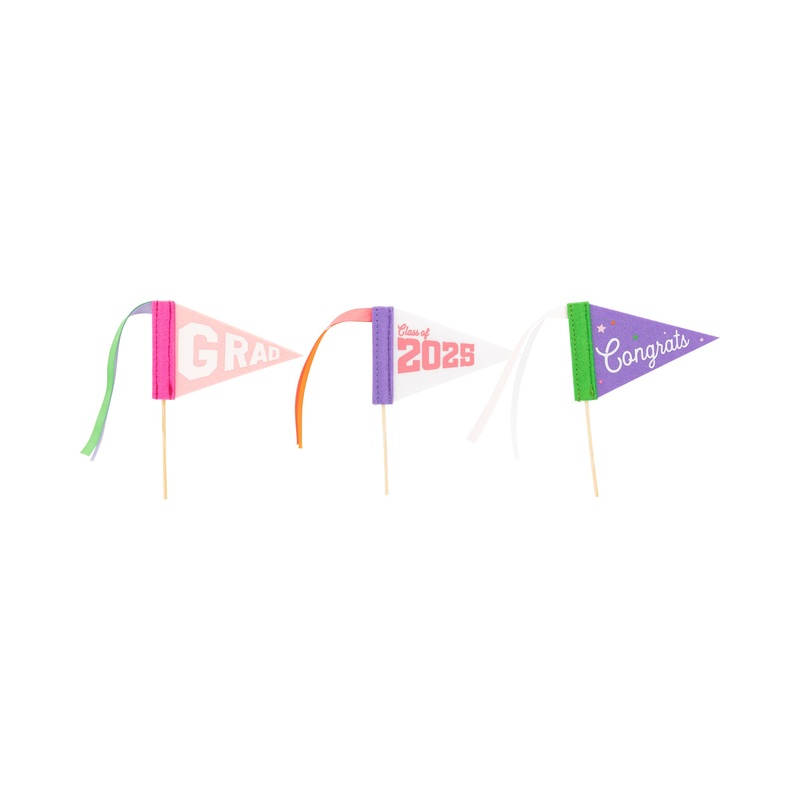 Pink Graduation Felt Pennant Banner Set