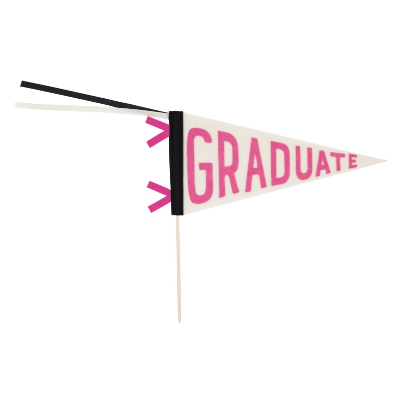 Pink Graduate Felt Pennant Banner