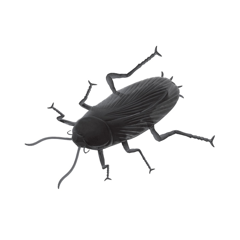 Halloween Giant Cockroach Prop 30cm