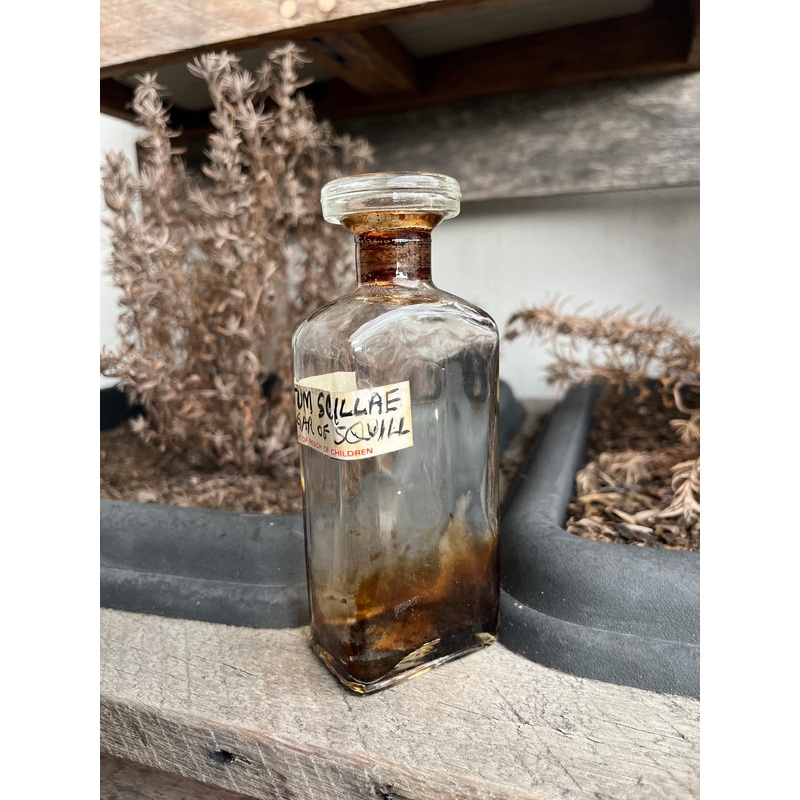 Antique 1890s Acetum Scillae Vinegar of Squill Apothecary Bottle