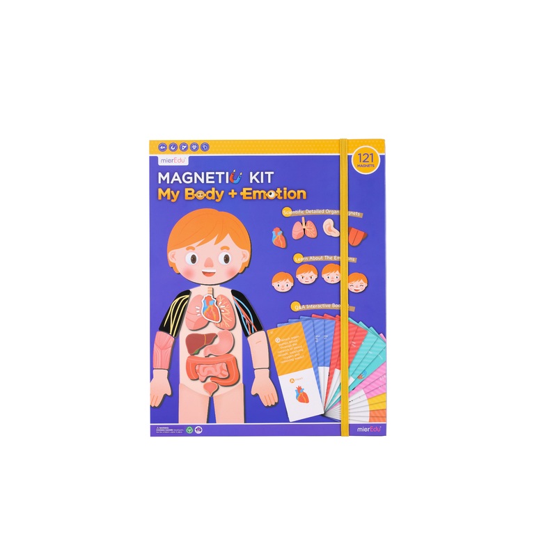 All About Human Body and Emotions