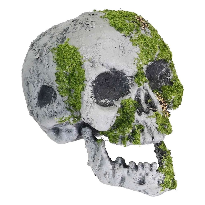 Moss Skull Halloween Decoration 16cm