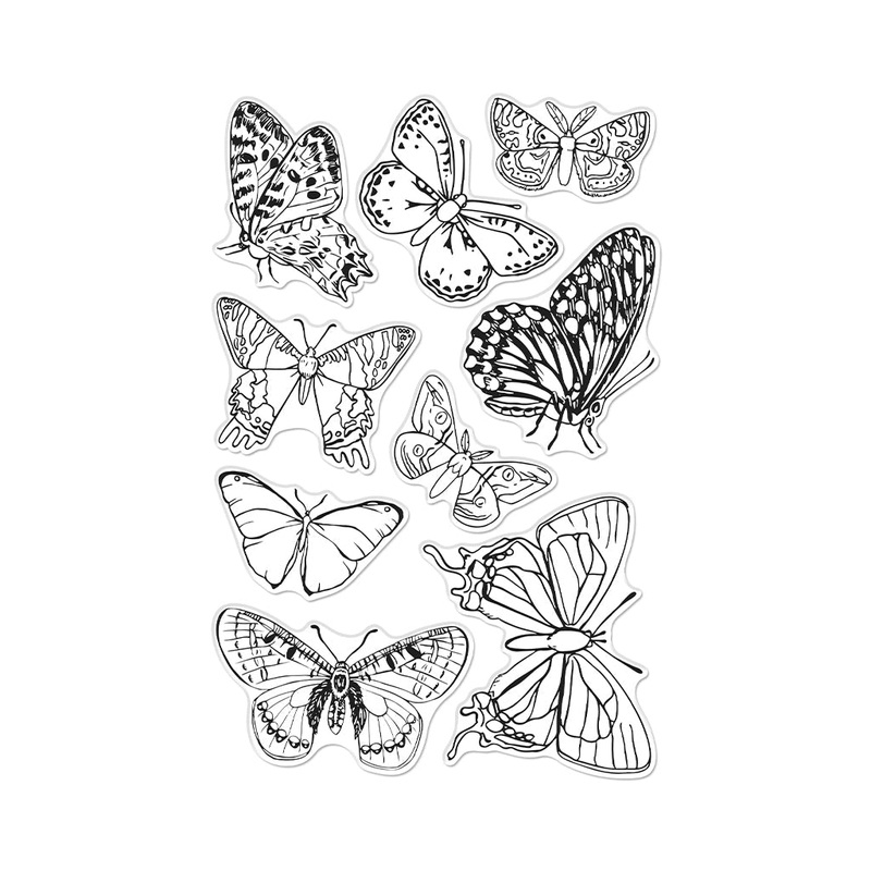 Beautiful Butterflies Clear Stamp Set
