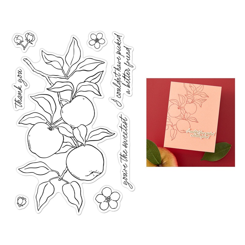 Apple Branch Clear Stamp Set