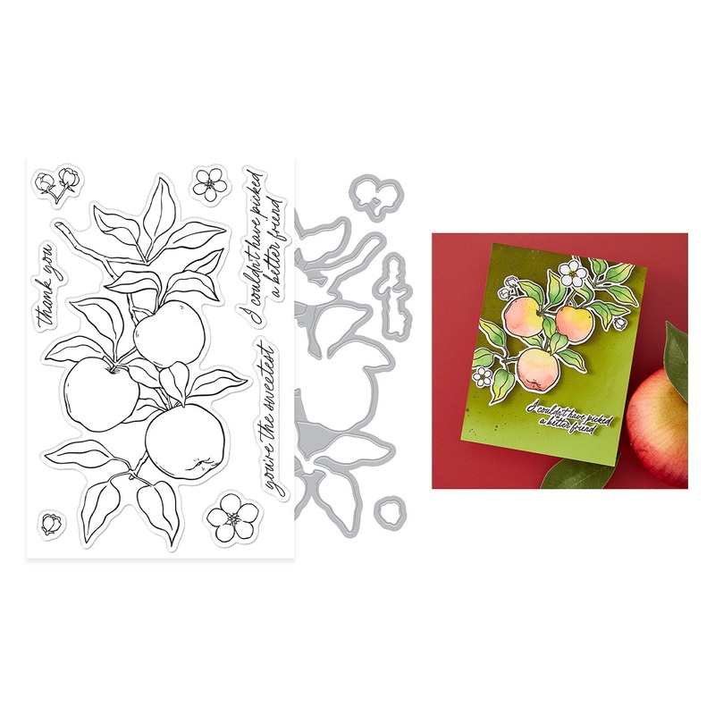 Apple Branch Stamp & Cut Set